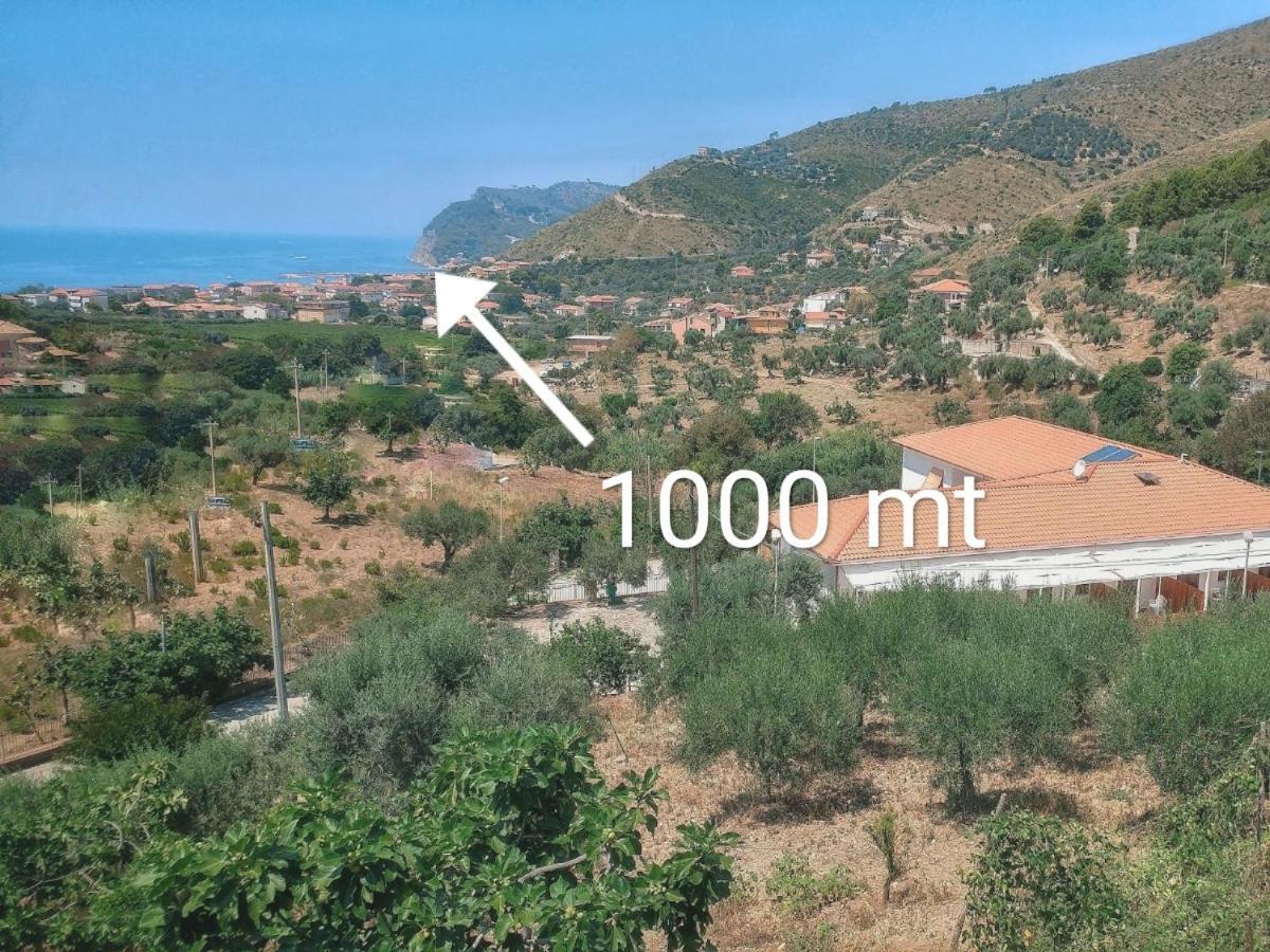 Tenuta Marga Agnone Cilento Esterno foto