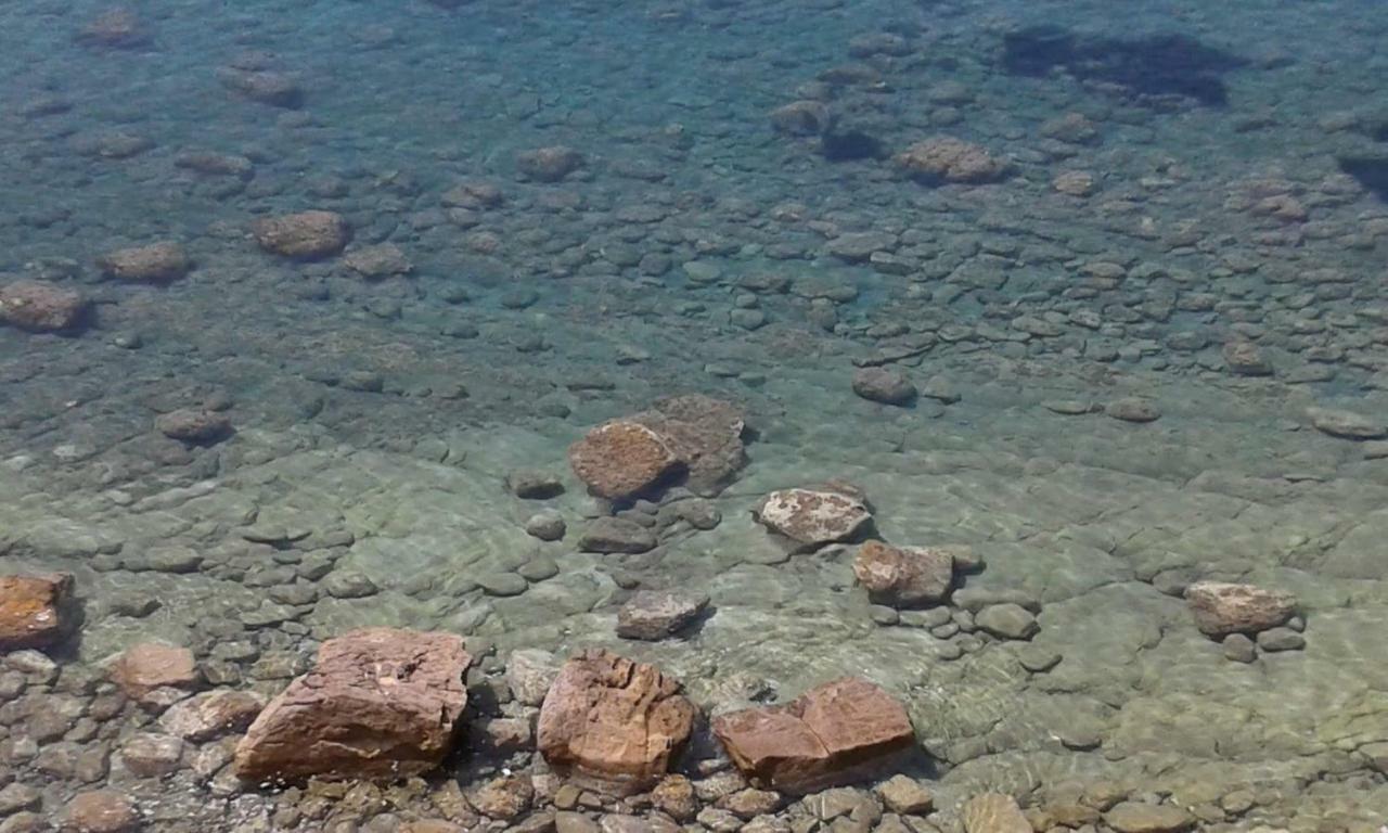 Tenuta Marga Agnone Cilento Esterno foto