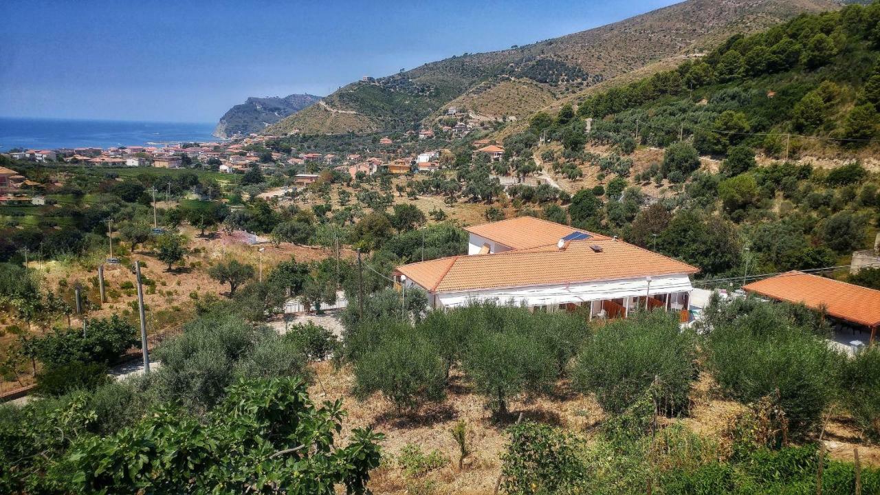 Tenuta Marga Agnone Cilento Esterno foto